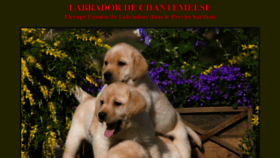What Labradors-dog.com website looked like in 2013 (10 years ago)
