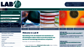 What Labm.com website looked like in 2013 (10 years ago)