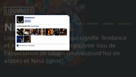 What Lioumness.com website looked like in 2013 (12 years ago)