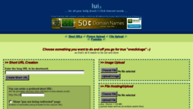 What Lui.li website looked like in 2013 (10 years ago)