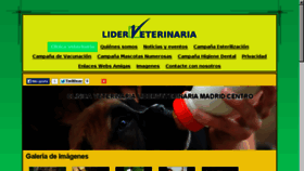 What Liderveterinaria.com website looked like in 2014 (9 years ago)