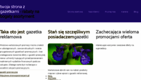 What Lidlgazetka.pl website looked like in 2014 (9 years ago)