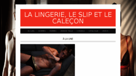 What Lingerie-slip-calecon.com website looked like in 2016 (8 years ago)