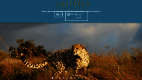 What Lalibela.net website looked like in 2016 (8 years ago)