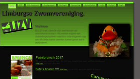 What Lizv.be website looked like in 2017 (7 years ago)