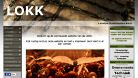 What Lokk.nl website looked like in 2017 (6 years ago)