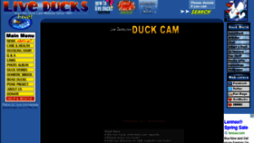 What Liveducks.com website looked like in 2017 (7 years ago)