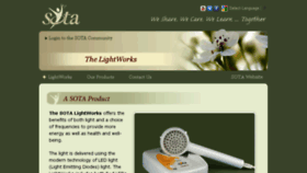 What Lightworks.com website looked like in 2017 (8 years ago)