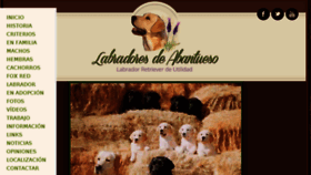 What Labradoresdeabantueso.com website looked like in 2017 (6 years ago)