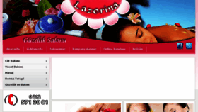 What Lazerina.com website looked like in 2017 (6 years ago)