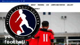What Littleleaguesoccer.com website looked like in 2017 (6 years ago)
