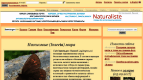 What Lepidoptera.ru website looked like in 2017 (6 years ago)