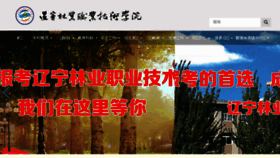 What Lnlzy.cn website looked like in 2017 (8 years ago)