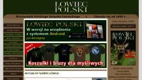 What Lowiec.com website looked like in 2017 (6 years ago)