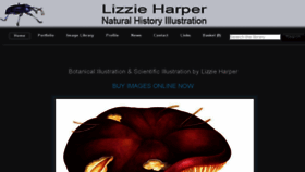 What Lizzieharper.co.uk website looked like in 2017 (6 years ago)