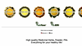 What Leafnflower.com website looked like in 2017 (8 years ago)