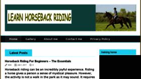 What Learnhorsebackriding.com website looked like in 2017 (6 years ago)