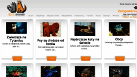 What Loveanimals.pl website looked like in 2018 (6 years ago)