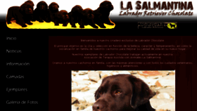 What Labradoresdelasalmantina.com website looked like in 2018 (6 years ago)