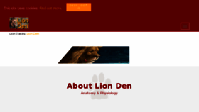 What Lionden.com website looked like in 2018 (6 years ago)