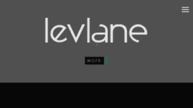 What Levlane.com website looked like in 2018 (6 years ago)