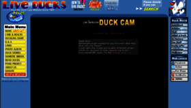 What Liveducks.com website looked like in 2018 (6 years ago)