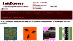 What Lab-express.com website looked like in 2018 (6 years ago)