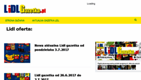 What Lidlgazetka.pl website looked like in 2018 (6 years ago)