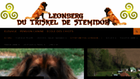 What Leonberg-de-stemidor.com website looked like in 2018 (5 years ago)