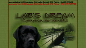 What Labsdream.com website looked like in 2018 (5 years ago)