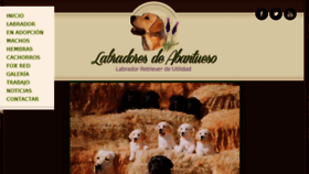 What Labradoresdeabantueso.com website looked like in 2018 (5 years ago)