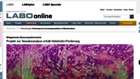 What Labo.de website looked like in 2018 (5 years ago)