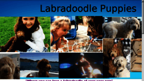 What Lovealabradoodle.com website looked like in 2018 (5 years ago)