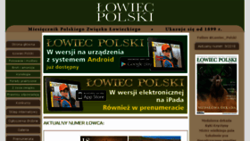 What Lowiec.com website looked like in 2018 (5 years ago)