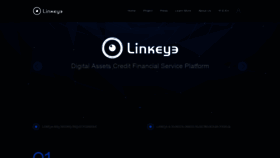What Linkeye.com website looked like in 2018 (5 years ago)