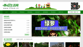 What Lifeve.cn website looked like in 2018 (5 years ago)