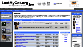 What Lostmycat.org website looked like in 2018 (5 years ago)