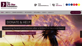 What Lilymaefoundation.org website looked like in 2018 (5 years ago)