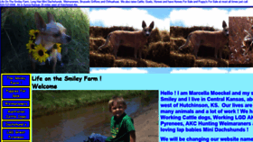 What Lifeonthesmileyfarm.com website looked like in 2019 (5 years ago)