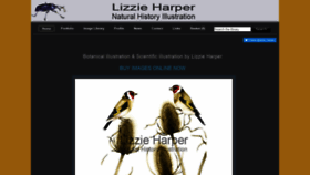 What Lizzieharper.co.uk website looked like in 2019 (5 years ago)