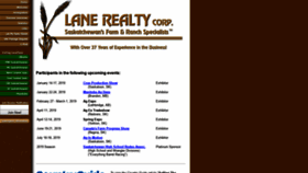 What Lanerealtycorp.com website looked like in 2019 (5 years ago)