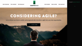 What Leadingagile.com website looked like in 2019 (5 years ago)