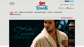 What Lsmtowels.com website looked like in 2019 (5 years ago)