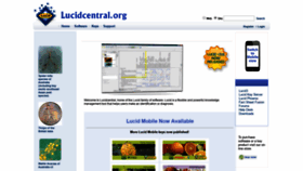 What Lucidcentral.org website looked like in 2019 (5 years ago)