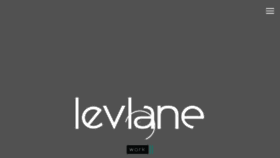 What Levlane.com website looked like in 2019 (5 years ago)