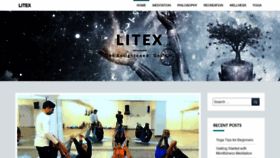 What Litex.info website looked like in 2019 (5 years ago)