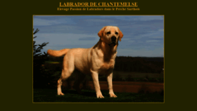 What Labradors-dog.com website looked like in 2019 (4 years ago)