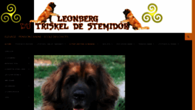 What Leonberg-de-stemidor.com website looked like in 2019 (4 years ago)