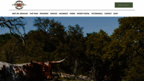 What Lonestarmed.com website looked like in 2019 (4 years ago)