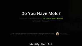 What Lookmold.com website looked like in 2019 (4 years ago)